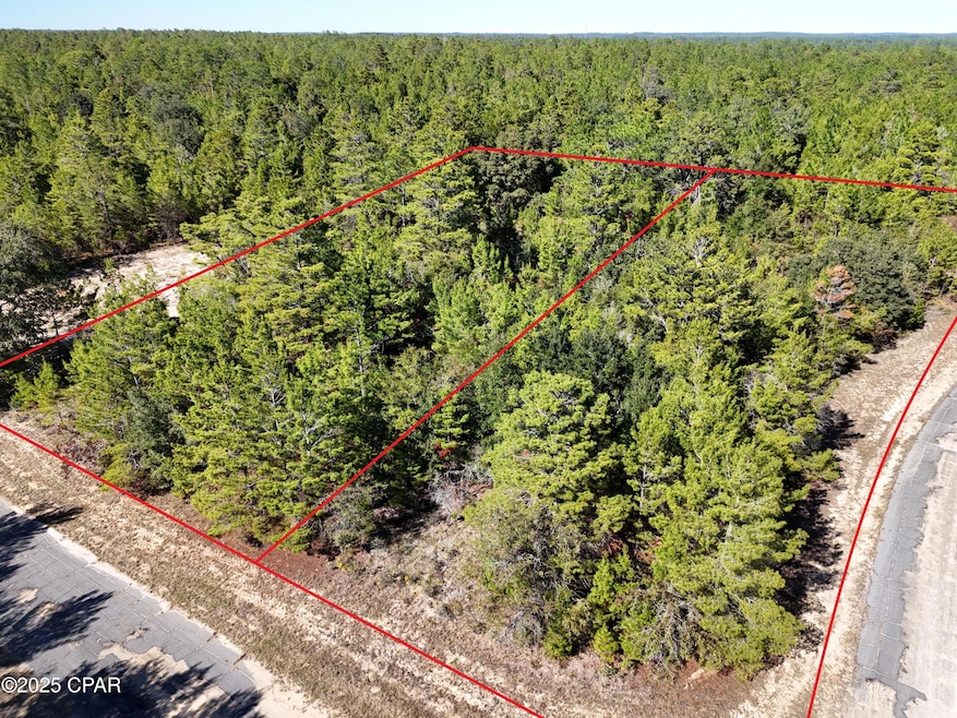 0 Overton Dr, Chipley, FL 32428 - photo 1