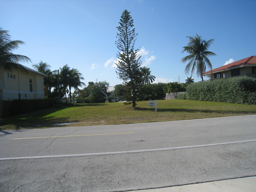 Lot veiw from Street