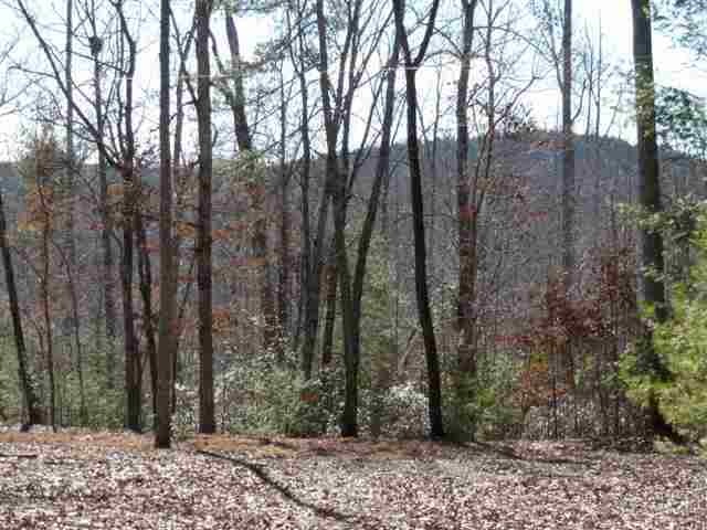 209 W H 7, Salem, SC 29676 - photo 1