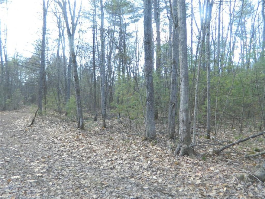 3 Acre parcel of land looking...