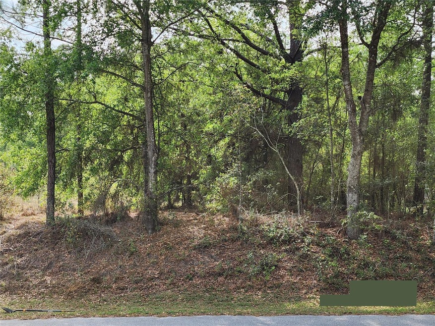 0 SW 199th Ct, Dunnellon, FL 34431 - photo 1