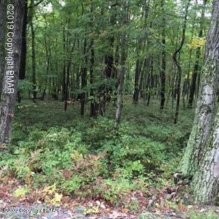 0 Wilson Ct unit PM-97172, Saylorsburg, PA 18353 - photo 1