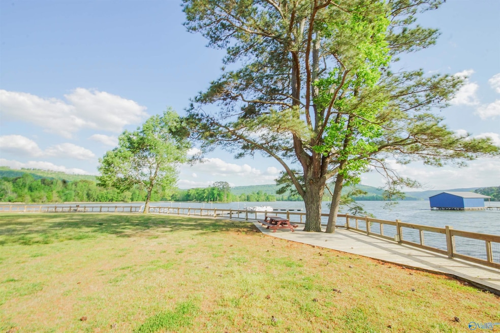 10174 County Road 67 unit LOT 41, Langston, AL 35755 - photo 1