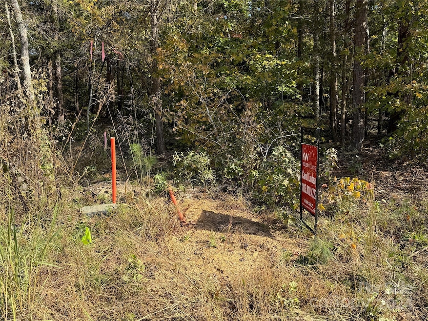 436 Riddle Mill Rd, Clover, SC 29710 - photo 1