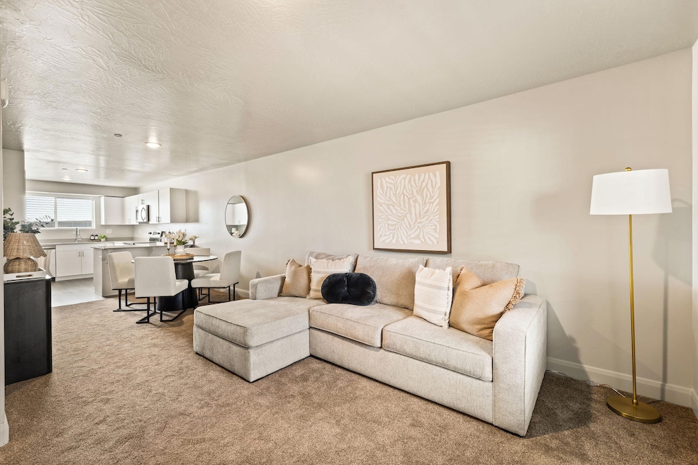 1-web-or-mls-_M3A8063