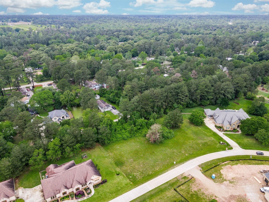 22420 Meadowhurst Cir W, Tomball, TX 77377 - photo 1