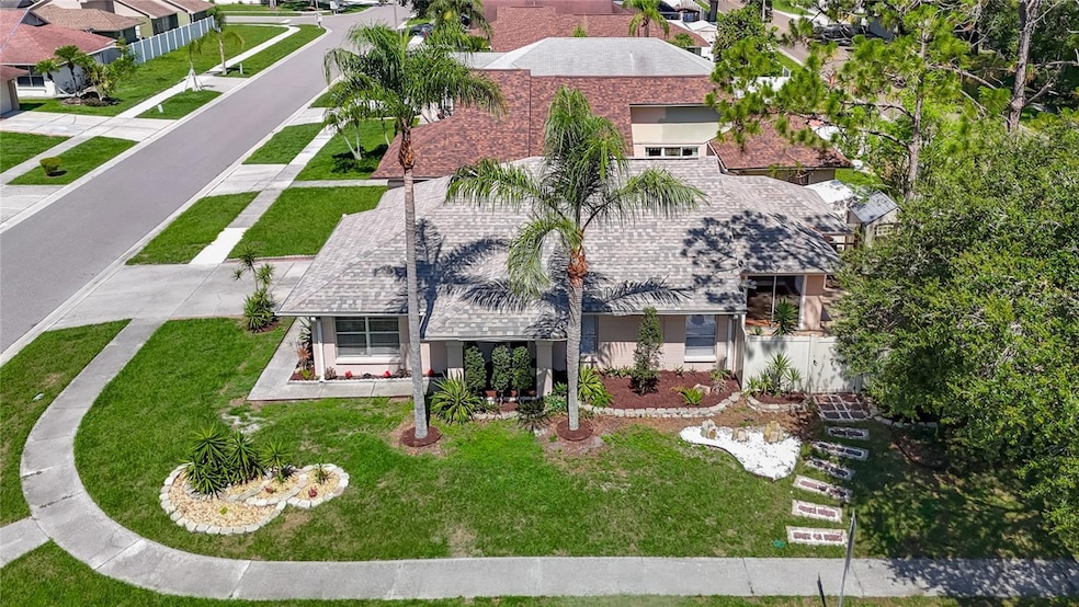 6001 Lemon Tree Ct, Tampa, FL 33625 - photo 1