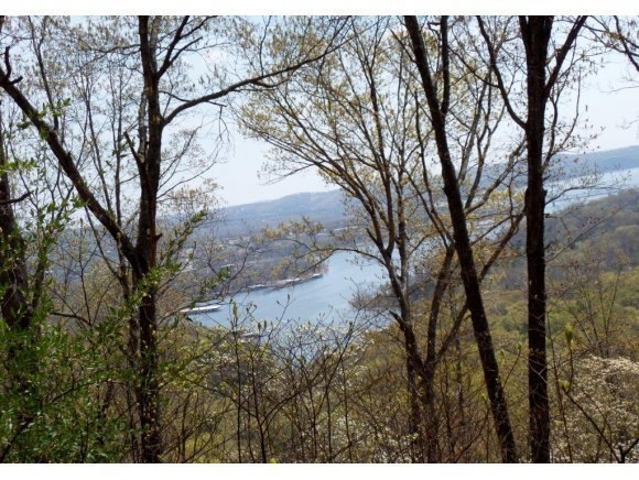 Lot 10 Plateau, Kimberling City, MO 65686 - photo 1