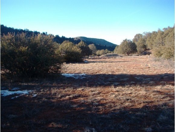 213 S Arizona Rd, Ash Fork, AZ 86320 - photo 1