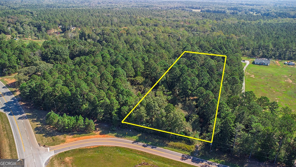 0 Rest Haven Rd unit 10652109, Yatesville, GA 31097 - photo 1