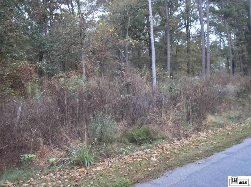 0000 Shelton Cutoff, Bastrop, LA 71220 - photo 1