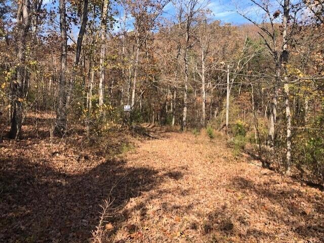 000 Mcdowell Dr, Kimberling City, MO 65686 - photo 1