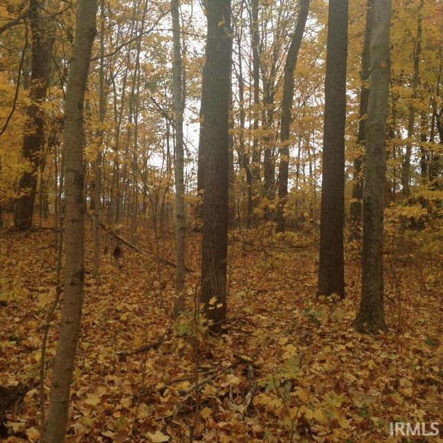 450 S 300 E, Wabash, IN 46992 - photo 1