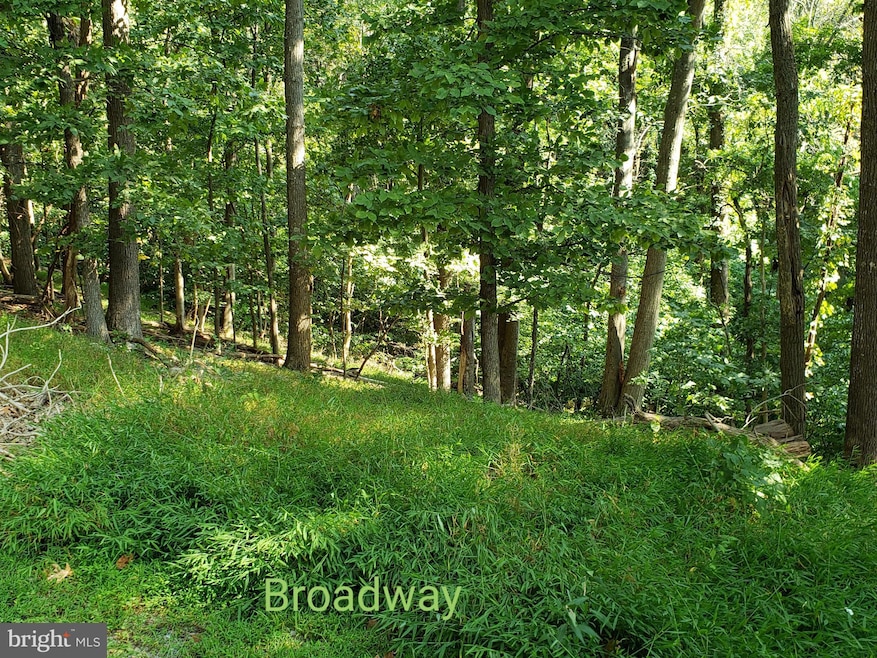 Lot 26 Stecher Ct, Happy Creek, VA 22642 - photo 1