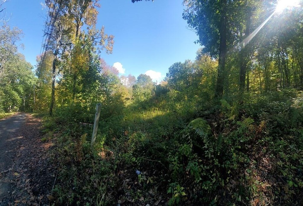 Lot 1A Jackson Rd, Hardwick, MA 01031 - photo 1