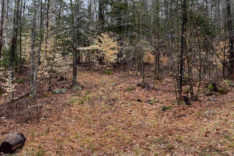 0 E Side Rd unit 4905806, Wentworth, NH 03223 - photo 1