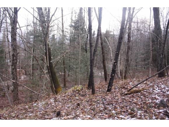 0 Mt Eustis unit 4120882, Littleton, NH 03561 - photo 1