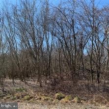 Sold $55,000 • Co-Listing Agent