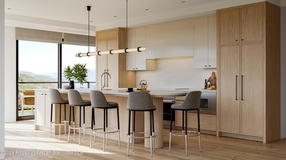 221 Wood Rd unit 212, Aspen, CO 81611 - photo 1