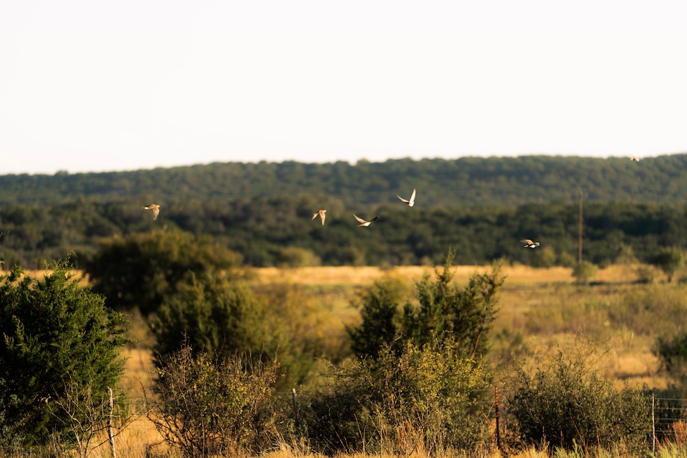 247 E Fm 581, Lometa, TX 76527 - photo 1