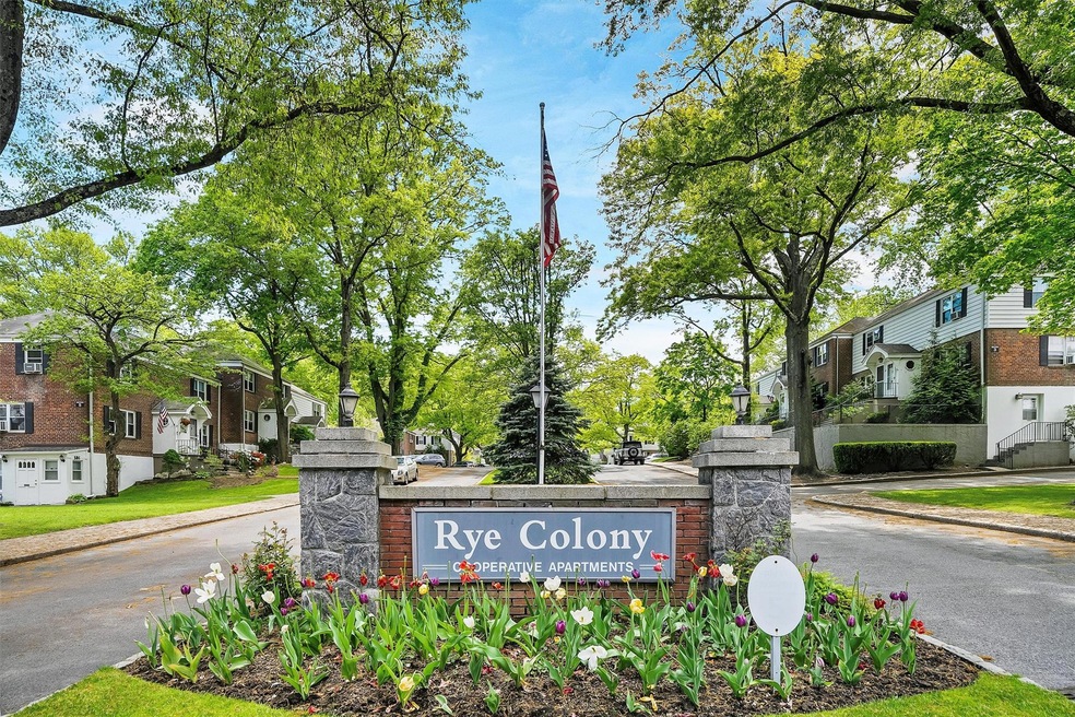 3 Peck Ave unit 313A, Rye, NY 10580 - photo 1