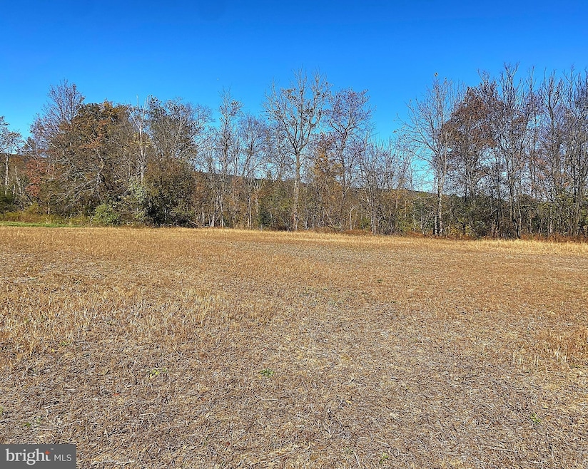 4038 Allemaengel Rd, New Tripoli, PA 18066 - photo 1