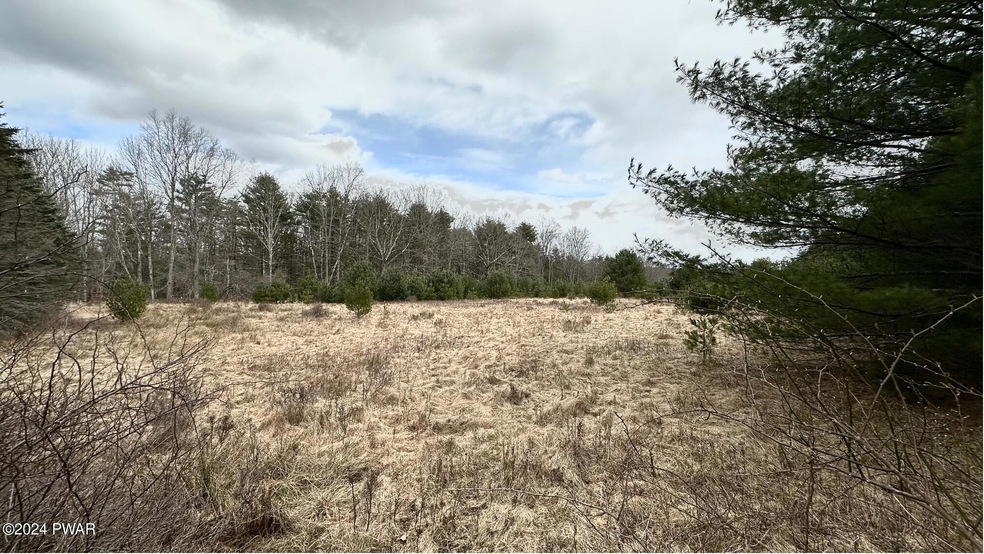 0 Long Ridge Rd unit PWBPW240661, Hawley, PA 18428 - photo 1