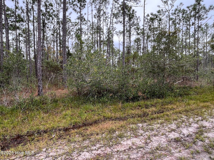 349 Magnolia, Southport, NC 28461 - photo 1