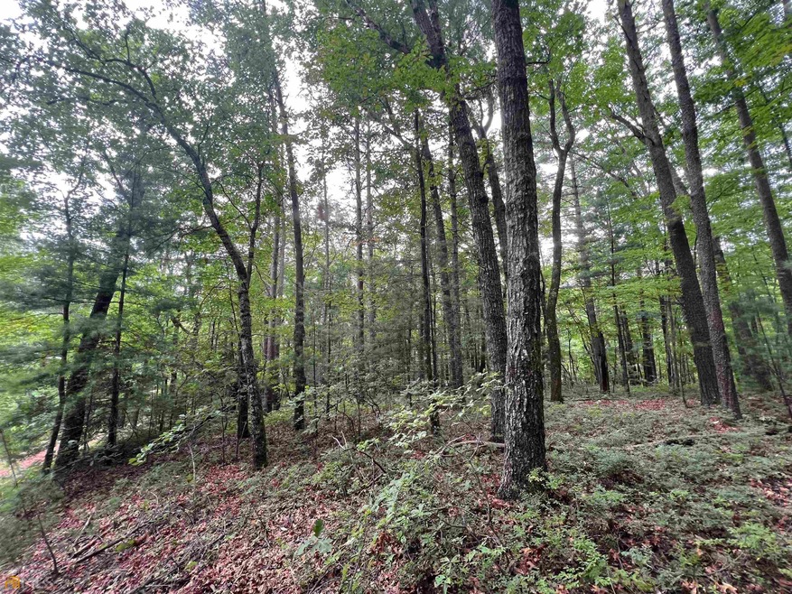 0 Myra Branch Rd unit 20068510, Helen, GA 30545 - photo 1