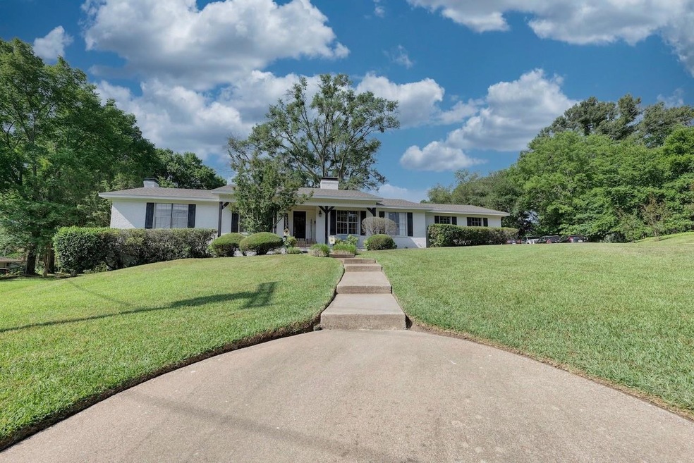 3815 Arlington Ave, Tyler, TX 75701 - photo 1