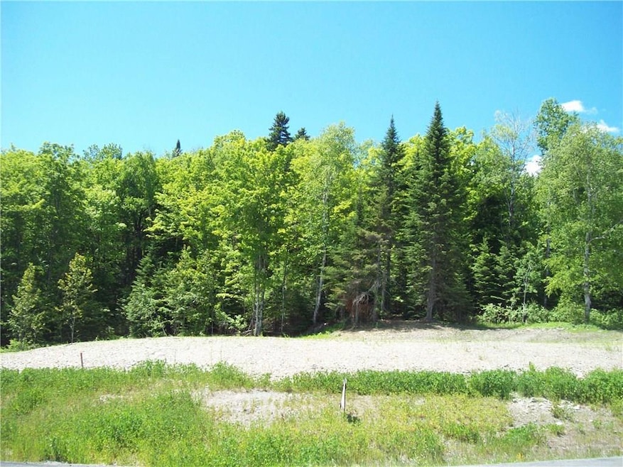 0 Aroostook Rd unit 1643974, Wallagrass, ME 04781 - photo 1