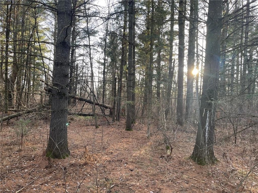 0 Old 14 Rd, Glen Flora, WI 54526 - photo 1