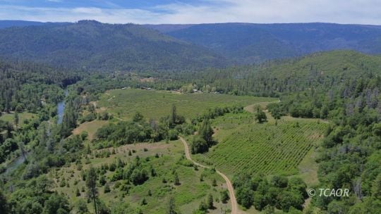Overview