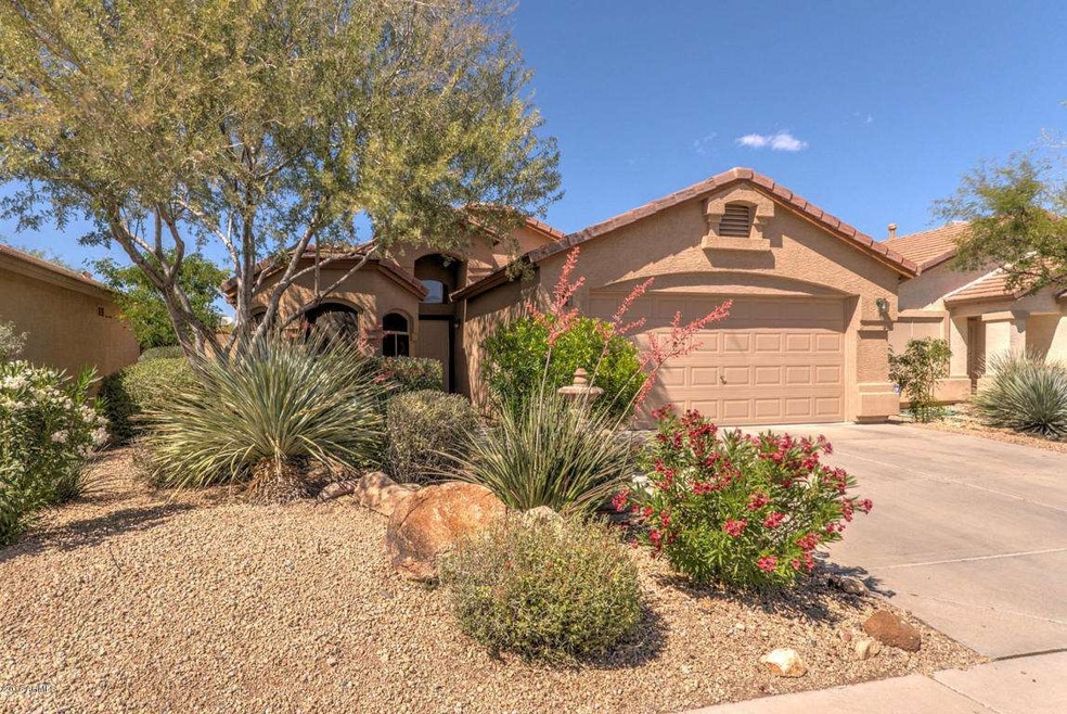 2426 W Gambit Trail Phoenix AZ-large-001