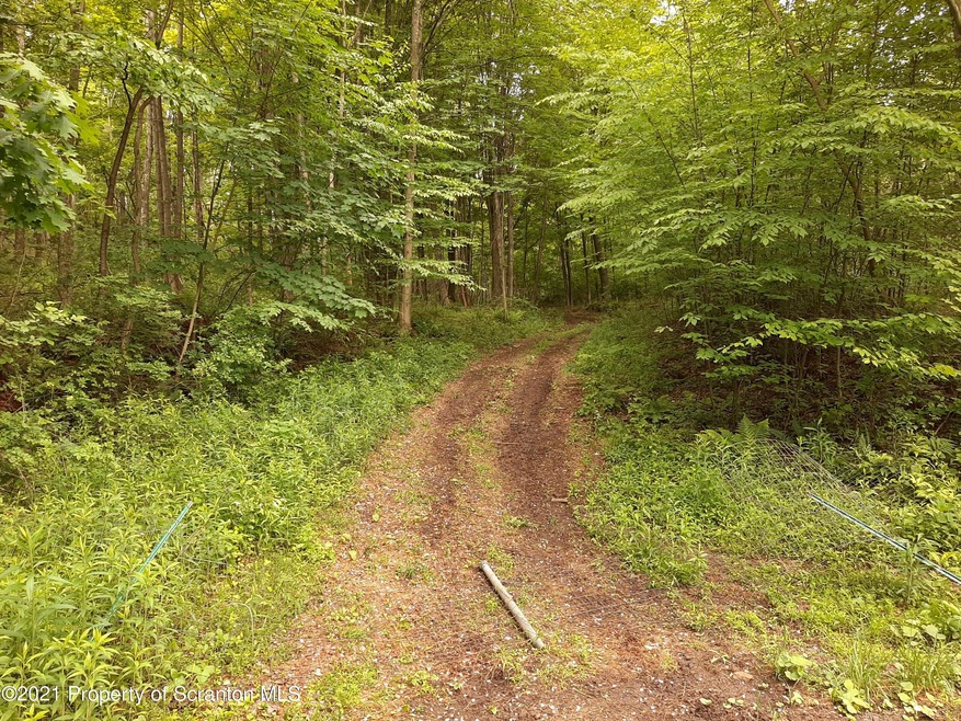 261 Blacksmith Dr, North Abingtnorth Township, PA 18414 - photo 1