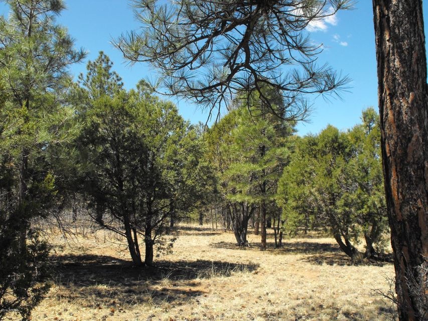 1 Lot 398 Navajo