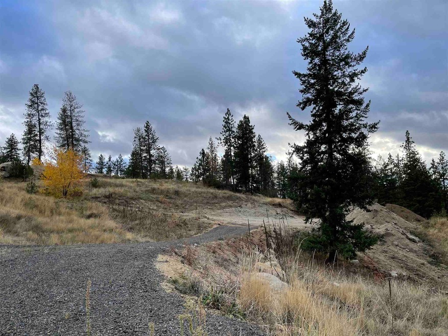 15223 N Cliff Ln unit Site 118A, Spokane, WA 99208 - photo 1