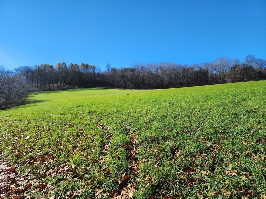 0 Hamilton Markton Rd, Hamilton, PA 15744 - photo 1