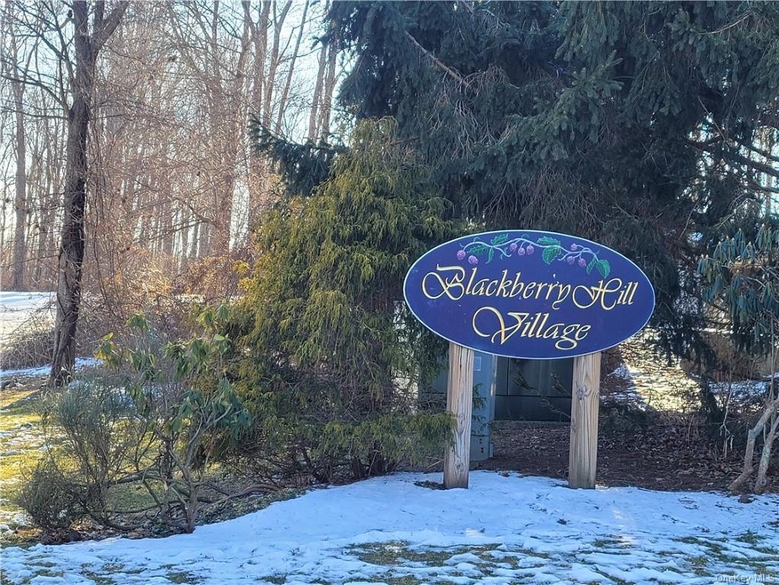 1304 Village Dr, Brewster, NY 10509 - photo 1