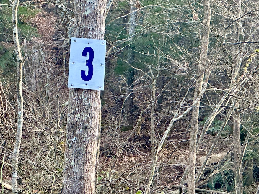 Lot 3 Radford Rd, East Bernstadt, KY 40729 - photo 1