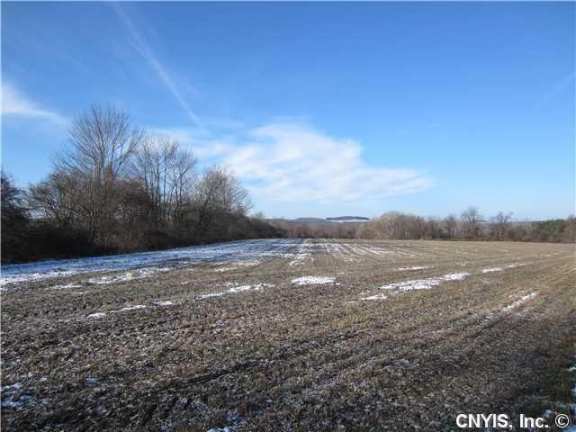 Land View to the Southwest from road side (tree li