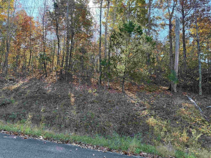 6 Woods Cliff Ln, Savannah, TN 38372 - photo 1