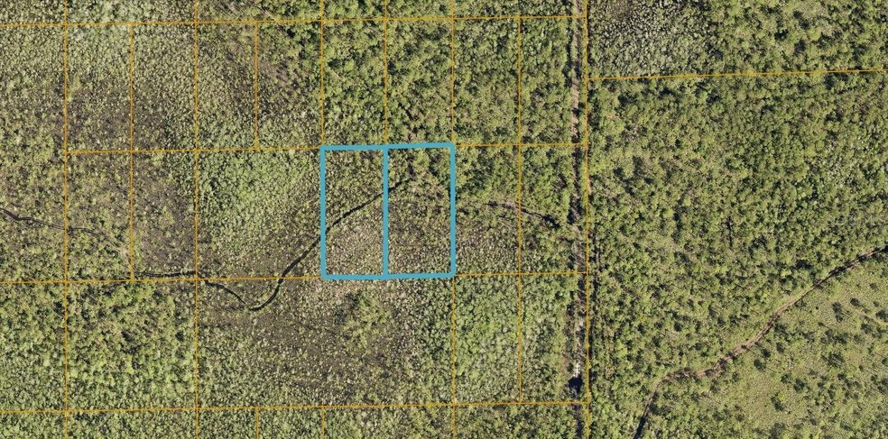 0 Inaccessible Track unit MFRA4642466, Deland, FL 32724 - photo 1