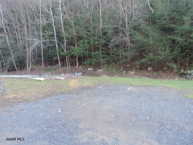 Main View