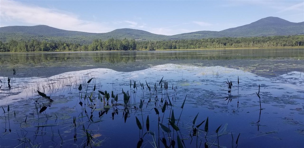 212 Little Chatham Rd, Chatham, NH 03813 - photo 1