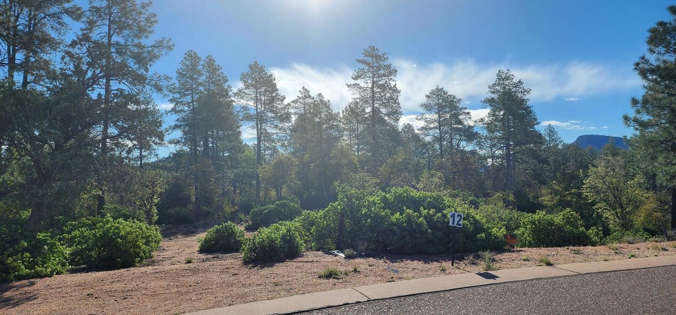 0 E Phoenix St, Payson, AZ 85541 - photo 1