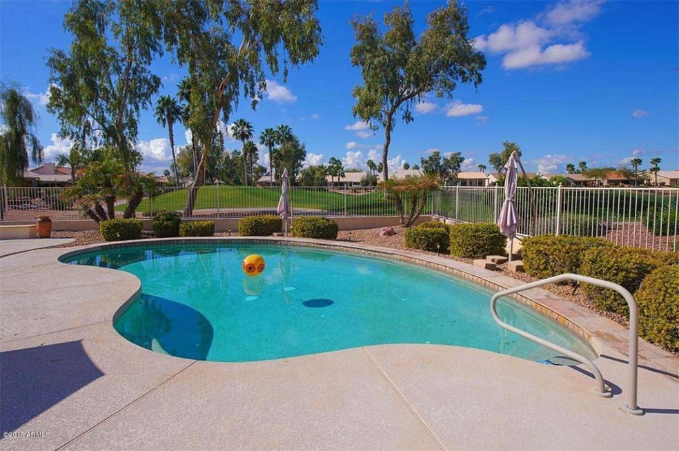 Backyard paradise!