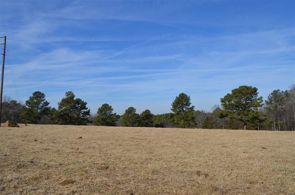 0 Mount Vernon Hickory Mountain Rd unit 2265062, Siler City, NC 27344 - photo 1