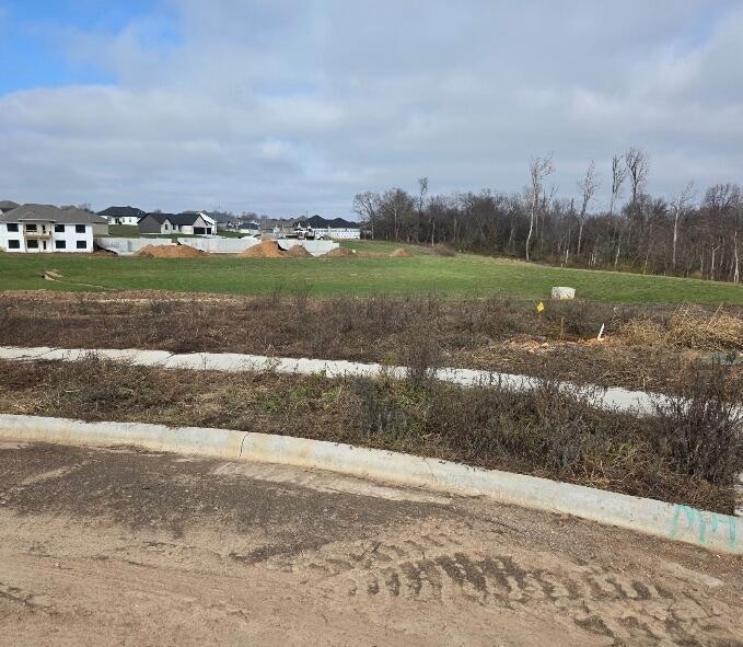 916 S Pindall Ln, Nixa, MO 65714 - photo 1