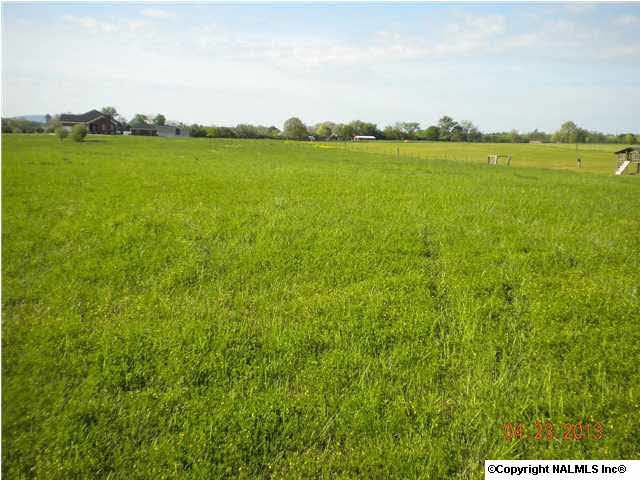 458 Ed Baeder Road. 3.2 Acre Tract.